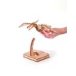 3532436509361-Maquette bois 3D Pterosaure - 31 pièces - disponible dans différents modèles--1