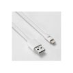 3304490412396-WE - Câble Lightning - USB mâle pour Lightning mâle - 1 m - blanc - plat-P_405240460_1-6