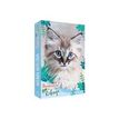 9782017301493-Hachette - Agenda scolaire - 2025-2026 - 126 x 176 mm - 320 pages - welcome to the shelter-P_405240827_1-0
