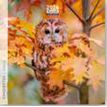 3494150174426-Calendrier 16x16cm 16 mois Aquarupella - Chouettes--0