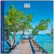 3494150174594-Calendrier 16x16cm 16 mois Aquarupella - Pontons--0