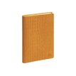 3660942088190-Agenda Exacompta Baby Croco Horizons 15 - semainier - 10,5 x 15,5 cm - assortis-P_405244370_3-0