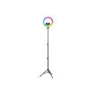 3303170115930-T'nB Influence Pro - Éclairage annulaire - 1 têtes x 208 lampe - LED - 15 W - CC-P_405245849_10-2