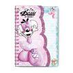 3519570300542-Carnet forme A6 Diddl--1
