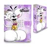 3519570300580-Journal secret digicode Diddl--0