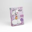3519570300580-Journal secret digicode Diddl--1