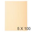 Exacompta Forever - 5 Paquets de 100 Chemises - 170 gr - bulle
