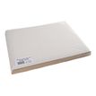 3281513540512-Cogir - 500 sets de table jetables - blanc glacé - 30 x 40 cm-Angle gauche-0