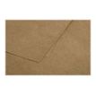 3329680290103-Pollen - 50 Cartes - 70 x 95 mm - 200 g/m² - kraft-Gros plan-2