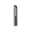 194252521960-Apple iPad 9e gen - tablette 10.2" - 256 Go - gris-Gros plan-2