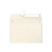 3329680500462-Pollen - 20 Enveloppes - 114 x 162 mm - 120 g/m² - ivoire irisé-Avant-0