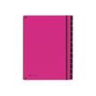 Pagna Office Trend - Trieur polypro à fenêtres 12 positions - rose foncé