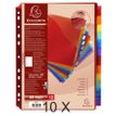 3130632048440-Exacompta - Pack de 10 pochettes intercalaires 12 positions - A4 Maxi - onglets personnalisables--0