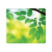 043859542819-Fellowes - Tapis de souris Earth Series  - Feuilles-Avant-0