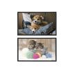3135251306094-Viquel Fantaisie Animaux - Sous-main - 59,5 x 36,2 cm - PVC - Chatons / Chiots-Avant-0