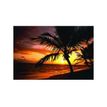 Fellowes nature - Tapis de souris - Le temps des palmiers