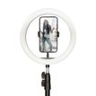 8427542106946-Ksix - Studio Live MAX - éclairage annulaire - 1 têtes x 120 lampe - LED - 10 W - CC-P_667302_2-0