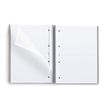 8422593499740-THE ORIGINAL NOTEBOOK, couverture rigide, A4, lignes horizontales, 80 feuilles de 1 couleur, Miquelrius--4