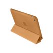 0885909787821-Apple Smart - boîtier de protection pour tablette-Arrière-3