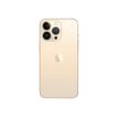 194252717509-Apple iPhone 13 Pro - Smartphone - 5G - 256Go - or-Arrière-1