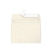 3329680500417-Pollen - 20 Enveloppes - 90 x 140 mm - 120 g/m² - ivoire irisé-Avant-0