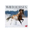 8051128758825-Legami - Calendrier mensuel - 30 x 29 cm - chevaux sauvages-Avant-0