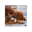 8051128758801-Legami - Calendrier mensuel - 30 x 29 cm - best friends-Avant-0