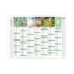 3371010274864-Quo Vadis Equology - Calendrier recyclé 7 mois par face - 40,5 x 55 cm-P_79143203_2-1
