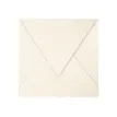 Pollen - 20 Enveloppes - 165 x 165 mm - 120 g/m² - ivoire irisé