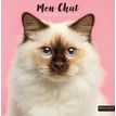 Calendrier illustré BOUCHUT 30 x 30 cm MON CHAT 70 %