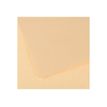 3148952511223-CANSON Ingres Vidalon 48 - papier à dessin-P_79349258_1-0
