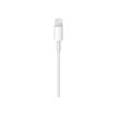 885909627424-Apple câble Lightning - Lightning / USB - 1 m-P_79373245_3-2