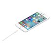 885909627424-Apple câble Lightning - Lightning / USB - 1 m-P_79373245_5-4