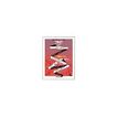 3660412042264-INOVSHOP - Cadre d'affichage A3 - disponible dans différentes couleurs-P_79375734_1-0