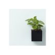 5708573239517-Naga - Pot à marqueurs aimanté - carré 6 x 6 x 6 cm-P_79381853_3-2