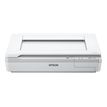 8715946499253-Epson WorkForce DS-50000 - scanner de documents A3 - 600 ppp x 600 ppp - 4ppm-P_79382950_4-1