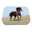 3108720488324-Oberthur Cheval - Boîte à bons points-P_79386630_1-0
