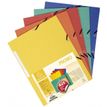 3130638550053-Exacompta - 5 Chemises à rabats dont 1 offerte - A4 - couleurs assorties-P_79389911_1-0