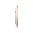 2012348670690-Apple iPhone 5s reconditionné - or - 4G LTE - 16 Go - GSM - smartphone-P_79395457_4-2