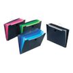 3135251266800-Viquel Graficolor - Trieur - 5 pochettes -P_79400817_1-0