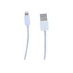 3303170066560-T'nB adaptateur secteur-P_79402657_2-2