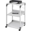4005546301860-DURABLE - chariot mobile pour vidéoprojecteur-P_79407957_9-4