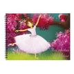 3108723495701-Editions Oberthur de classe Ballerina - album-P_79411160_1-0