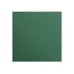 Clairefontaine Maya - Papier à dessin - 50 x 70 cm - 25 feuilles - 270 g/m² - vert antique