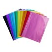 Exacompta Iderama - Porte vues - 40 vues - A4 - disponible dans différentes couleurs