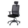 3760185028615-Fauteuil de bureau SCOTT - accoudoirs réglables - appuie-tête réglable - noir-P_79419682_2-1