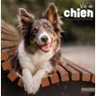 Calendrier illustré BOUCHUT 30 x 30 cm VIE DE CHIEN 70 %