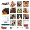 3592930027112-Calendrier illustré BOUCHUT 30 x 30 cm VIE DE CHIEN 70 %--2