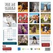 3592930027112-Calendrier illustré BOUCHUT 30 x 30 cm VIE DE CHIEN 70 %-P_79420119_3-2