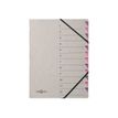 Pagna - Trieur 12 positions - violet